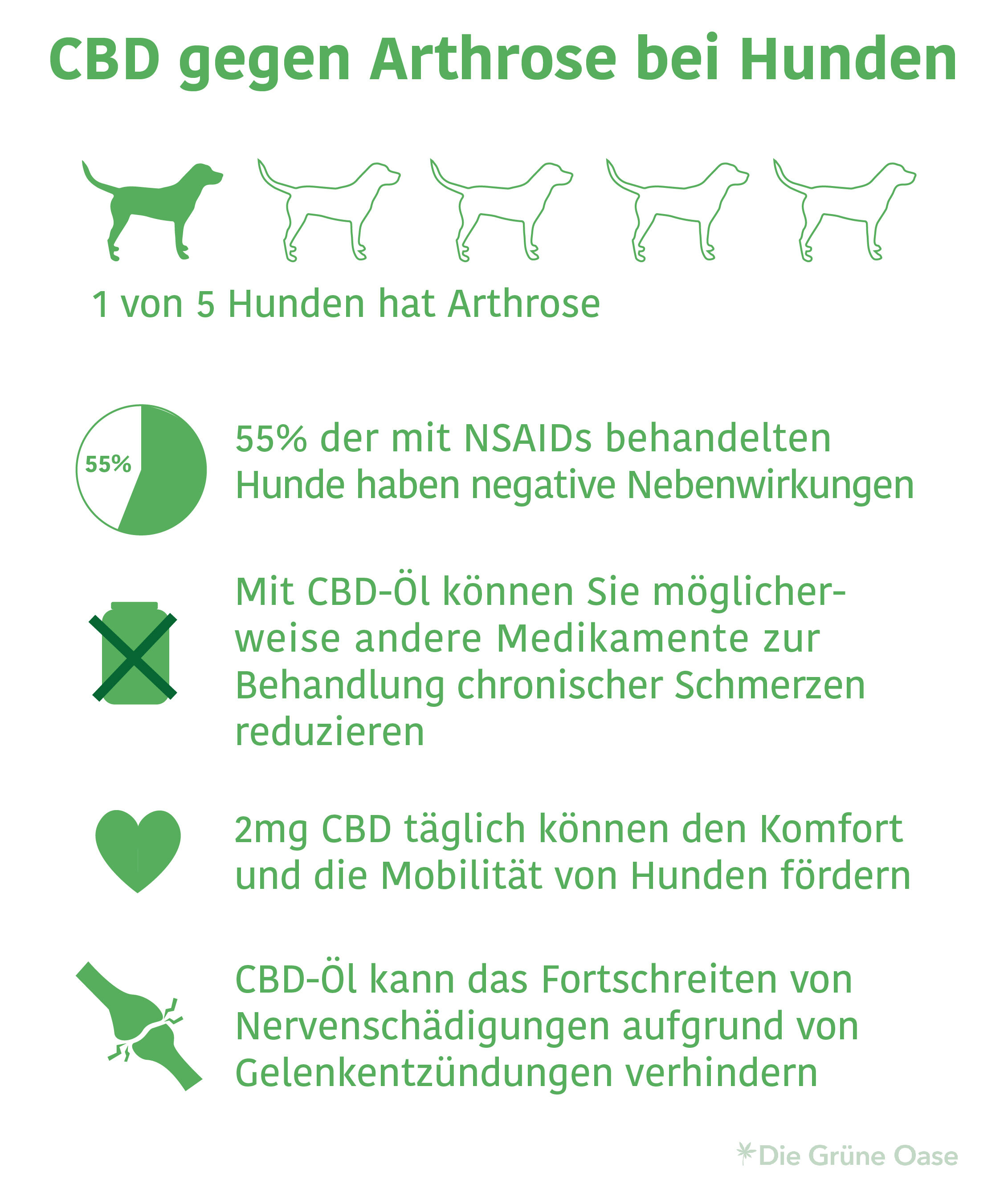Arthrose bei Hunden